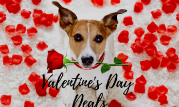 2019 Valentine’s Day Deals + All Of February!