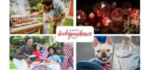 4th of July 6 Fun Things To Do at Town & Country Village